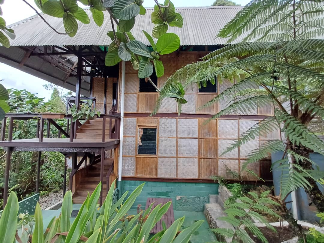 Guest House Exterior5 Guest House Exterior5