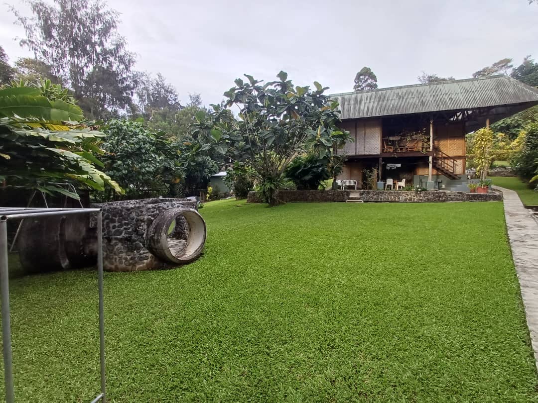 Guest House Exterior6 Guest House Exterior6