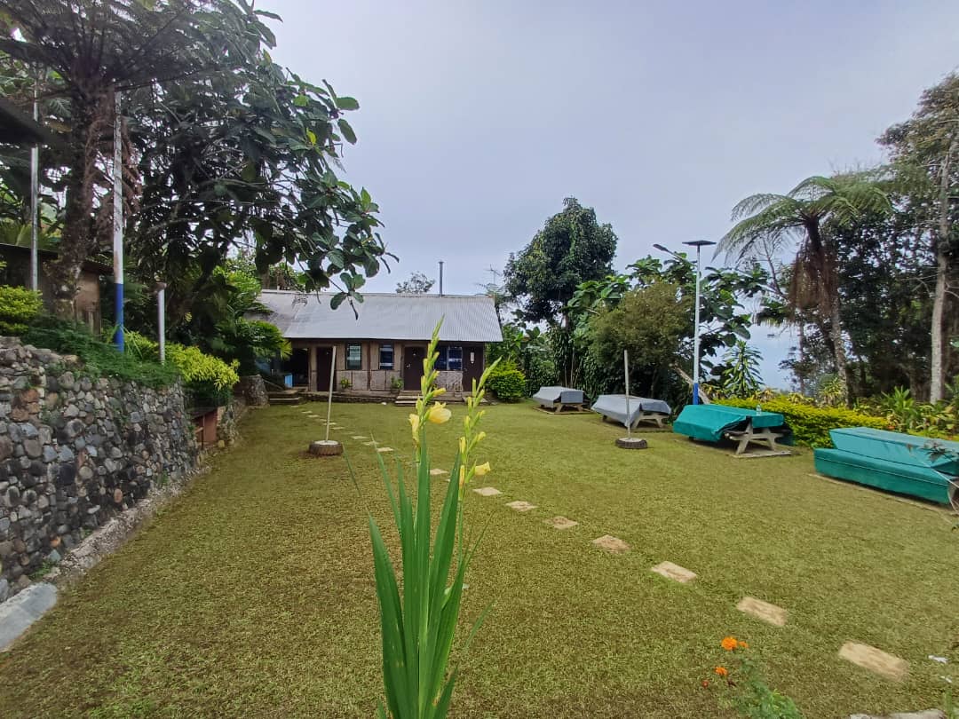 WhatsApp Image 2026-02-25 at 7.36.49 PM