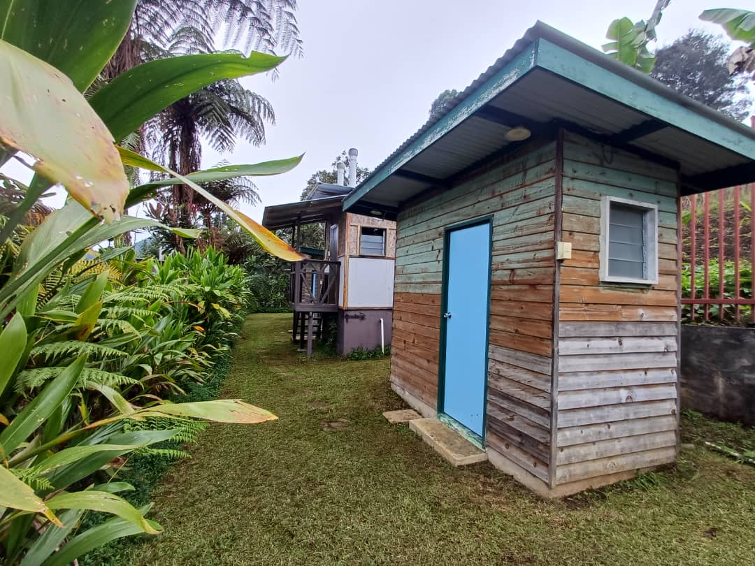 WhatsApp Image 2026-02-25 at 7.36.51 PM