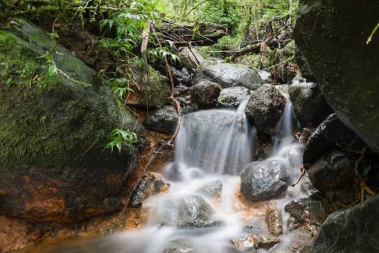 WhatsApp Image 2026-03-18 at 6.14.16 AM (2)